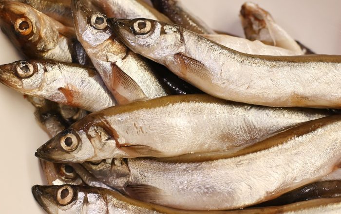 fish, capelin, food, cooking, nature, fresh